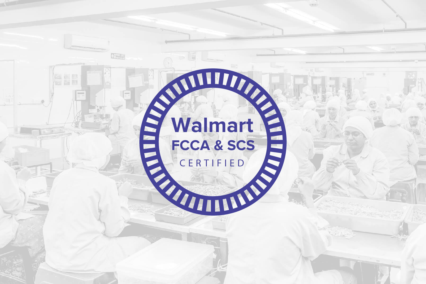 walmart FCCA & SCS approved plastic parts manufacturing company