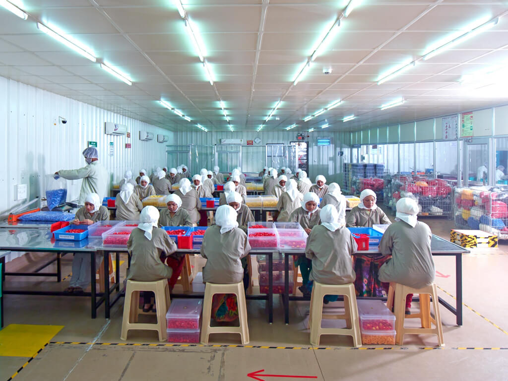 itech plast milestone 2011